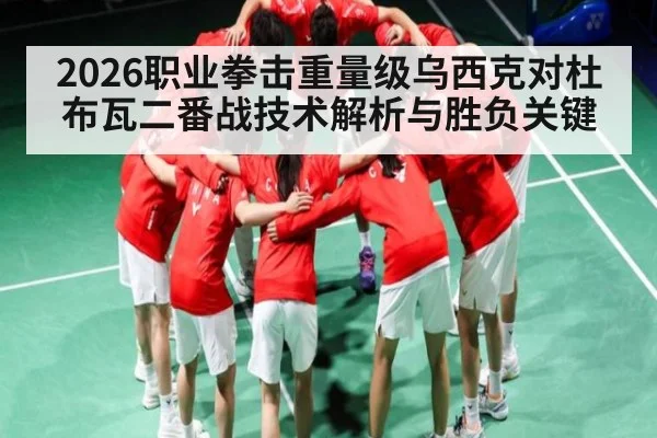 2026职业拳击重量级乌西克对杜布瓦二番战技术解析与胜负关键